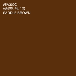 #5A300C - Saddle Brown Color Image